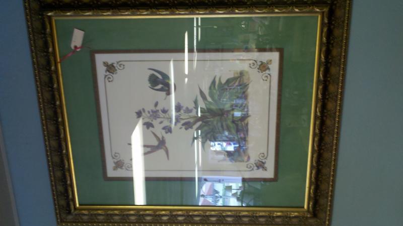 Decorator print 36  x 42    Custom framing $135.jpg