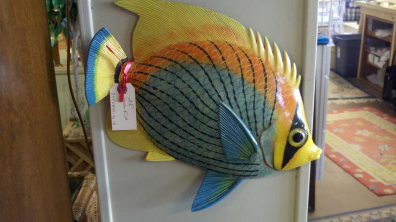 We have lots of fish  $25.jpg